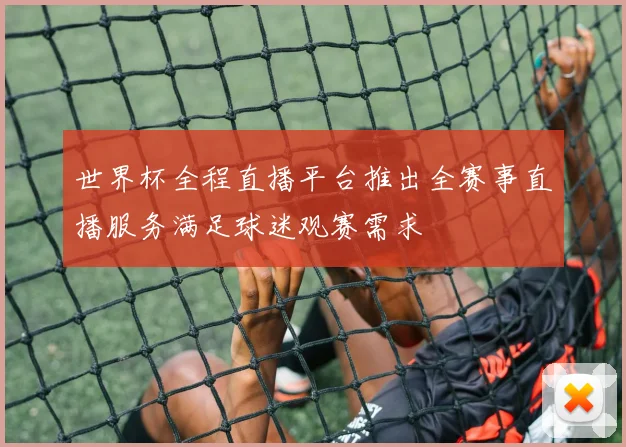 世界杯全程直播平台推出全赛事直播服务满足球迷观赛需求