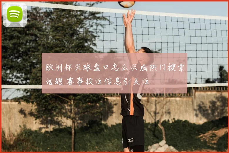 欧洲杯买球盘口怎么买成热门搜索话题 赛事投注信息引关注