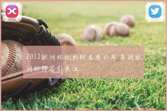 2012欧洲杯比利时名单公布 备战欧洲杯阵容引关注